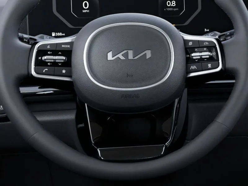 2026 Kia Carnival SX Prestige, photo 22