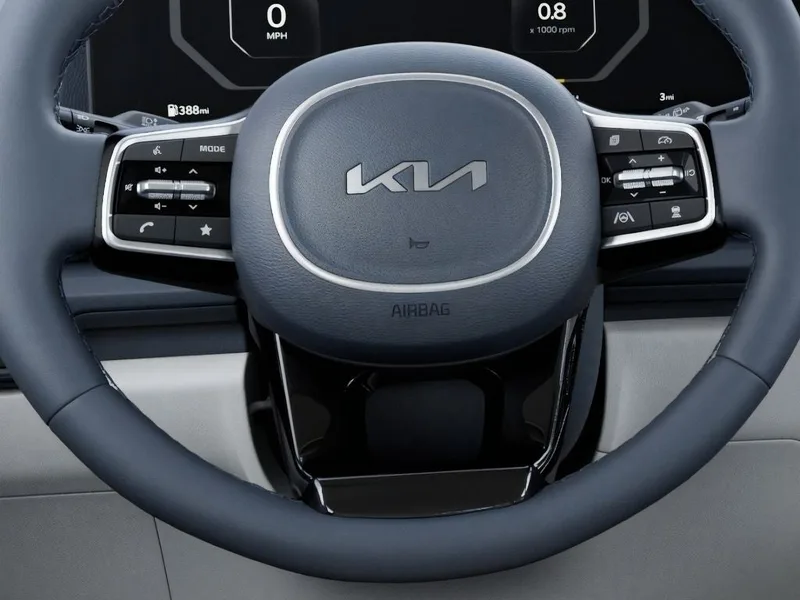 2026 Kia Carnival SX, photo 22