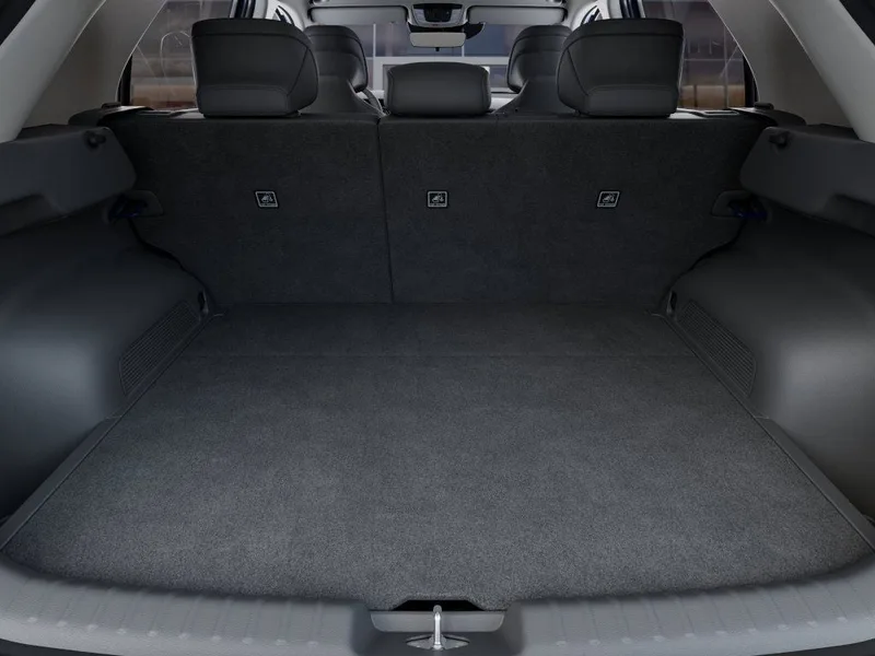 2025 Kia Niro EV Wind, photo 19