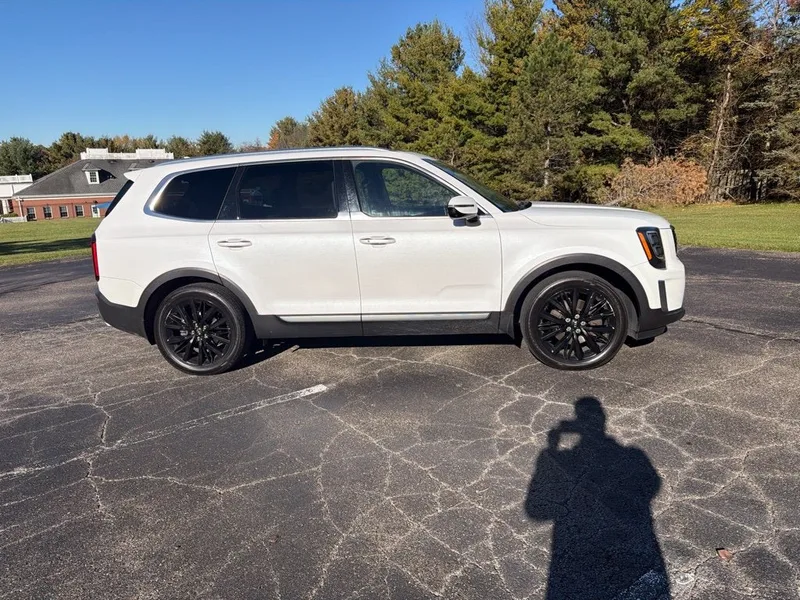 2020 Kia Telluride SX, photo 4