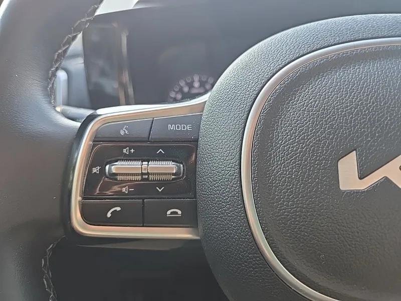 2022 Kia Sorento EX, photo 13